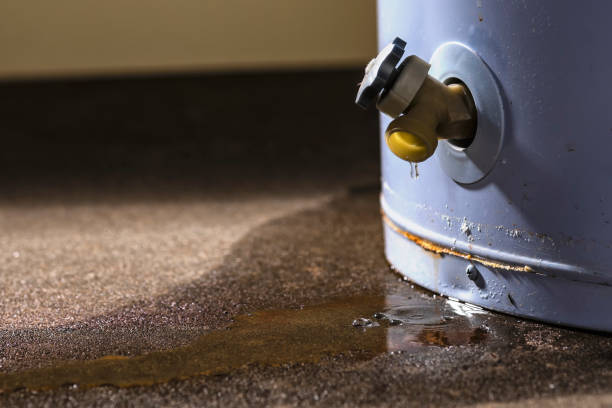 Best Sewage cleanup and water damage restoration  in Gresham Park, GA
