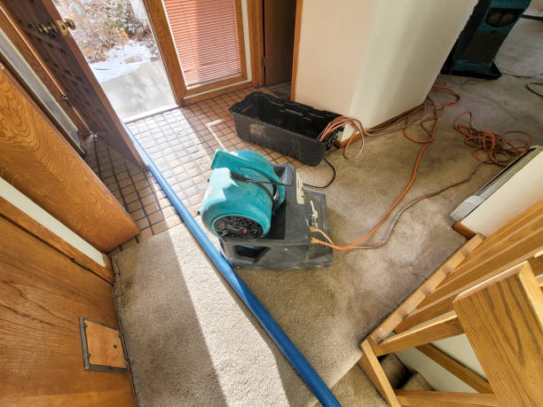 Best Water damage contractors near me  in Gresham Park, GA