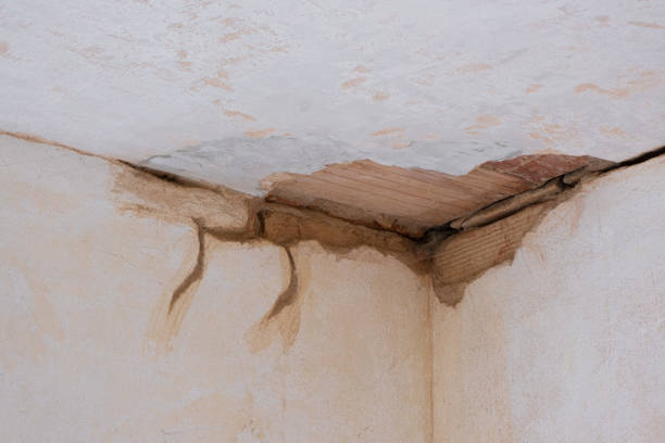 Best Carpet water damage restoration  in Gresham Park, GA