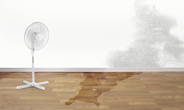 Best Water damage contractors near me  in Gresham Park, GA