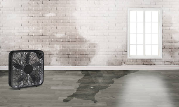 Best Ceiling water damage repair  in Gresham Park, GA