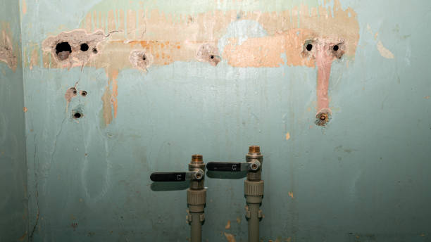 Best Water damage cleanup near me  in Gresham Park, GA