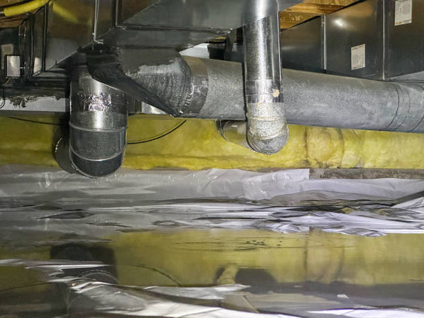 Best Local water damage restoration  in Gresham Park, GA