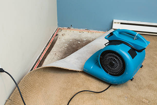 Best 24/7 water damage repair  in Gresham Park, GA